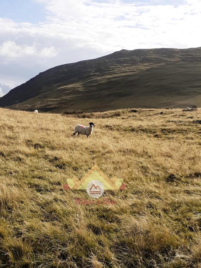 فيلا Hiker'S Den, Brigham, Cockermouth, Cumbria المظهر الخارجي الصورة